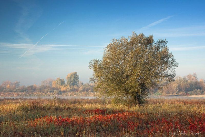wisła by the riverphoto preview