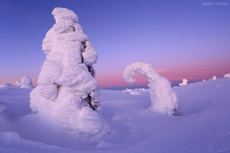 кольский, север, заполярье Жители сопок заполярьяphoto preview