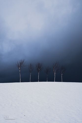 Minimalism