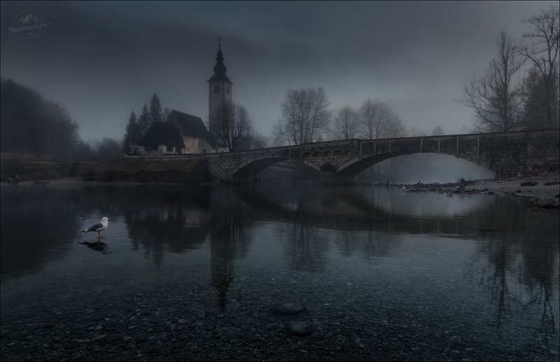 словения, бохинь, бохиньское озеро, slovenia, bohinj, Пейзаж с чайкойphoto preview
