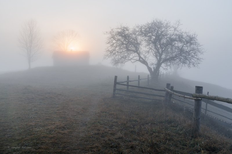 карпаты, осень, пейзаж, рассвет, туман Шёпот осени...photo preview