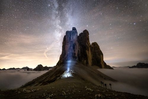 Night Wanderer