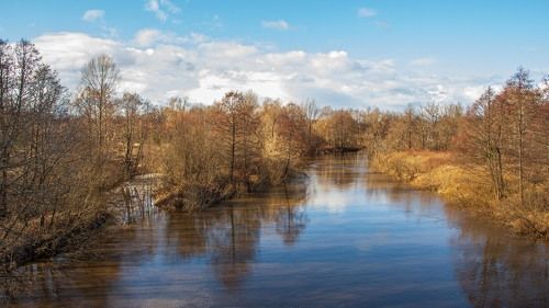В окрестностях гог. Кулебаки... река Теша