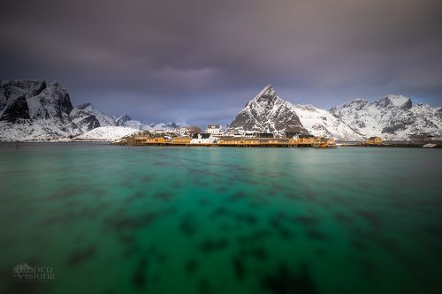 Winter light