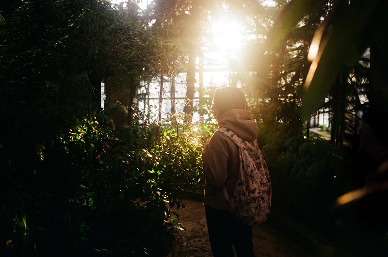 film, kodak gold, пленка Кусочки летаphoto preview