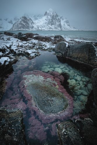 Winter morning by the sea