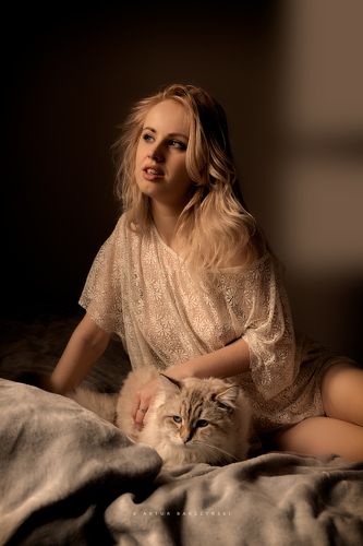 The cat