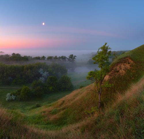 в предрассветной тиши ..