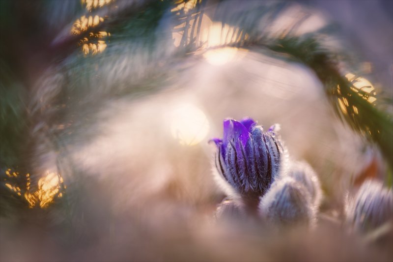 С надеждой на лучшее.photo preview