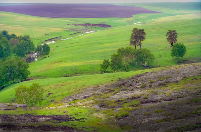 карагай карагайphoto preview