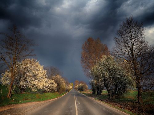 On the road...