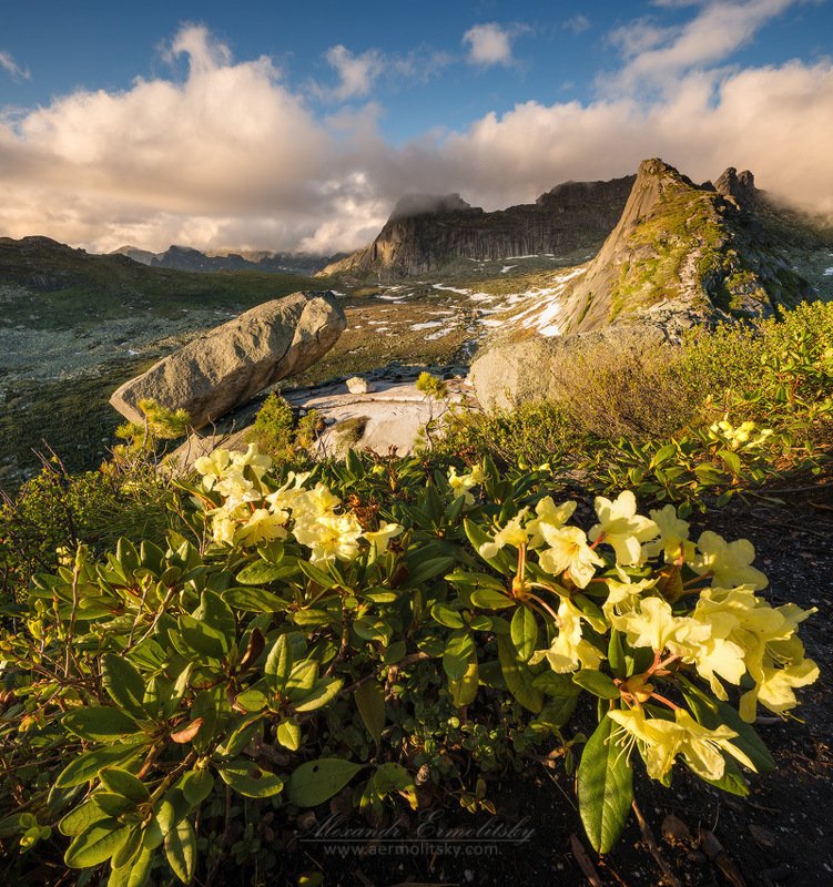 ~ Начало ~photo preview