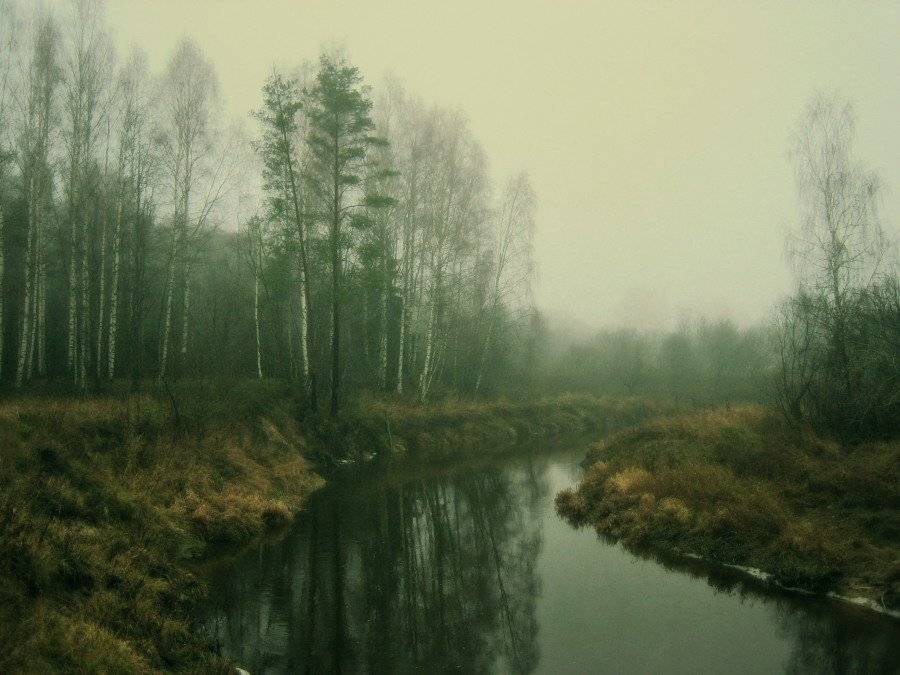 , Владимир Липецких