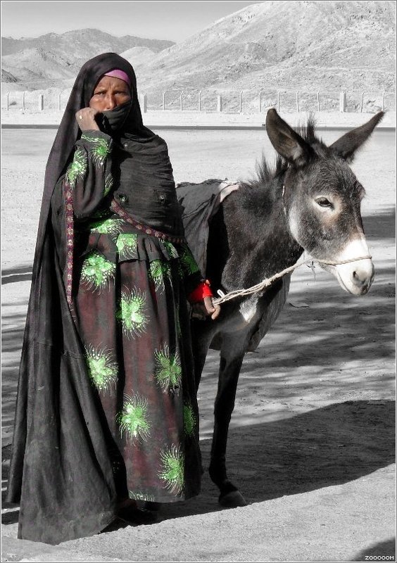 египет бедуинка Бедуинкаphoto preview