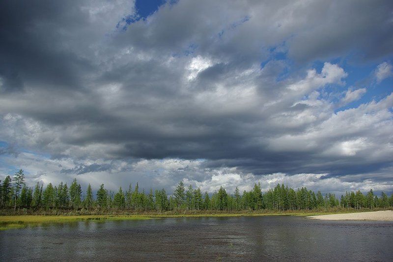 тайга,тучи,река Перед грозойphoto preview