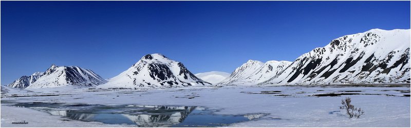 фото, чукотка, снег, photo, chukotka, snowmaker, провидения, куст, сопки, горы Близ Провидения, майская.photo preview