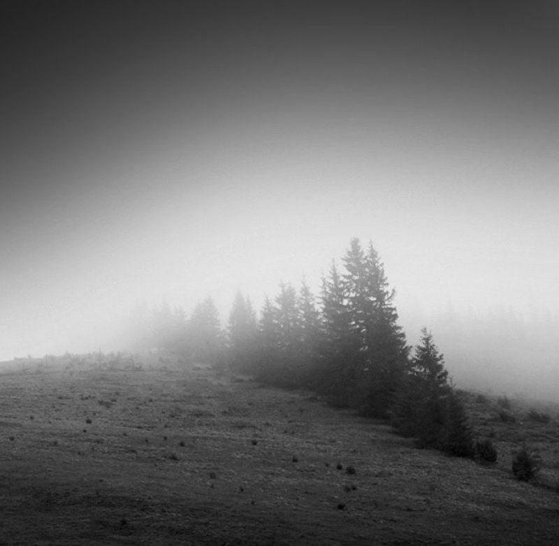 Дышатьphoto preview