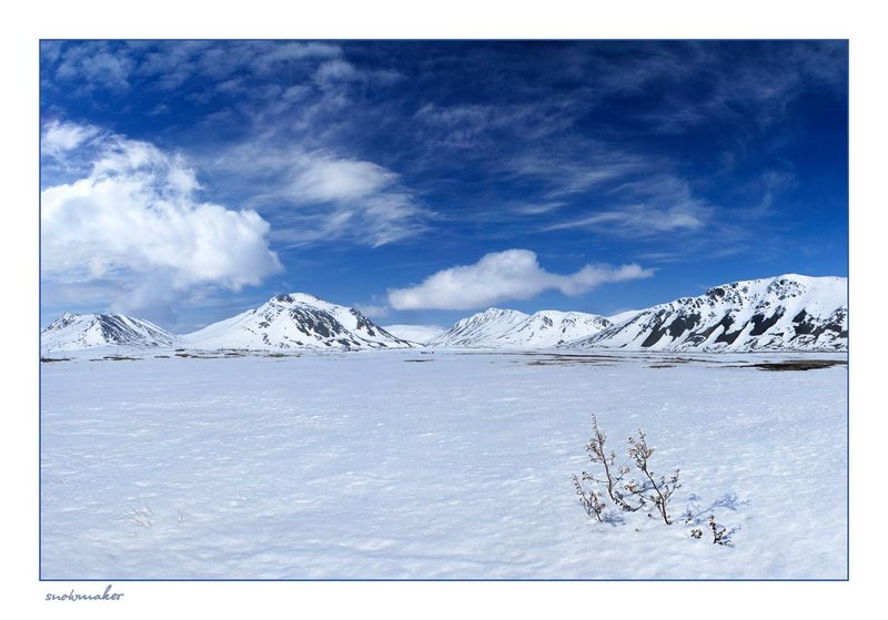 фото, чукотка, снег, photo, chukotka, snowmaker, провидения, куст, сопки, горы My Chukotkaphoto preview