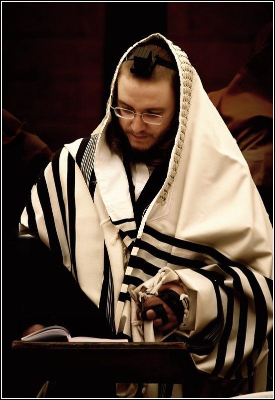 Портретphoto preview