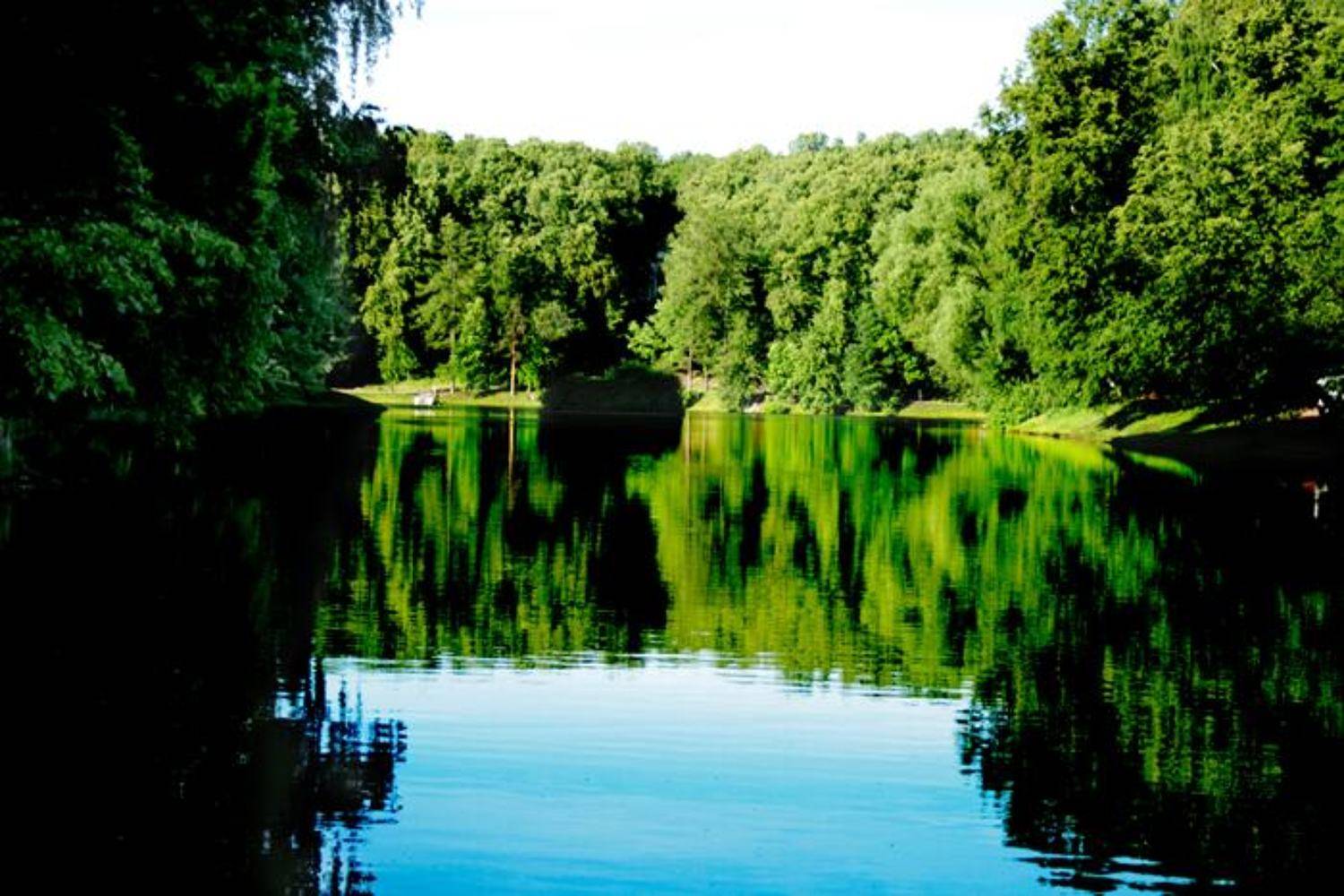 царицино, парк, пейзаж, Большаков Александр