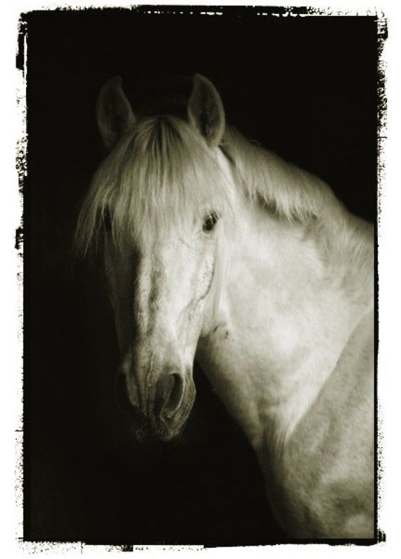 Болеар.photo preview