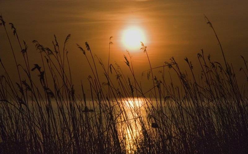 Вечерний поклев. Автор: Евгений Пугачев. закат,небо,краски,вода,ладога,облака,рыбак, Евгений Пугачев.