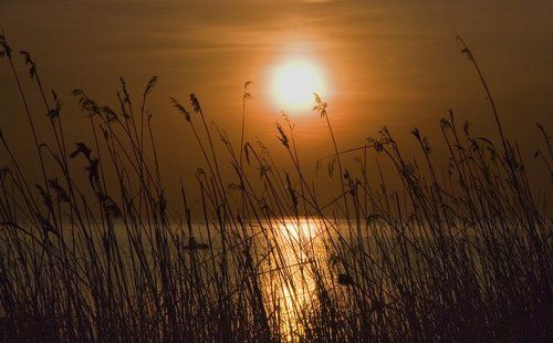 Вечерний поклев