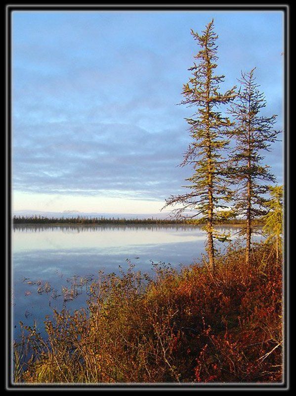 тайга,озеро Утро у озераphoto preview