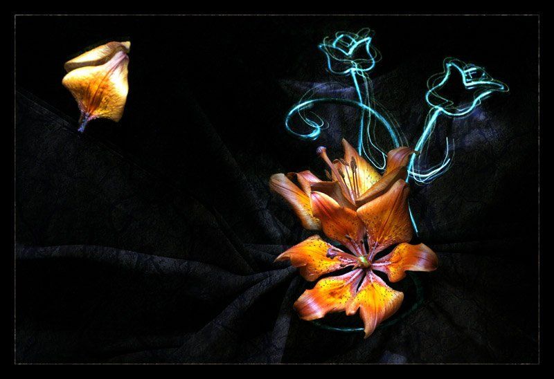 световая кисть Магия Цветовphoto preview