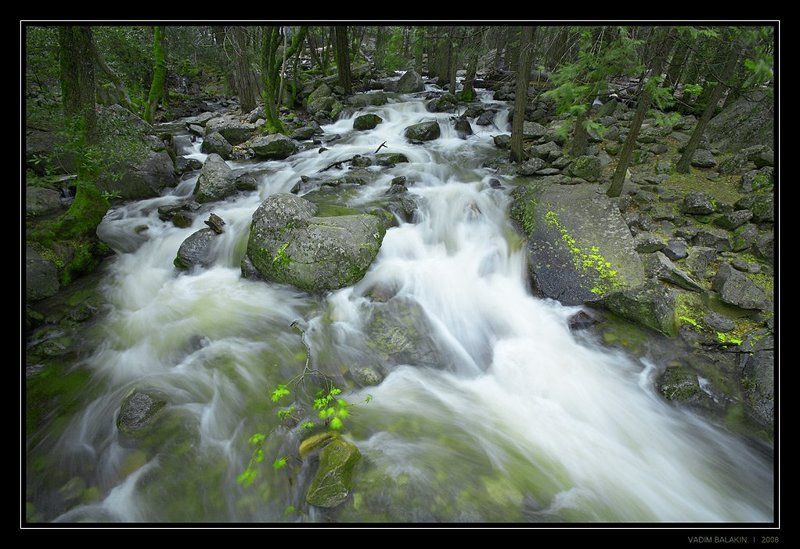 Bridalveil Creek, Yosemitephoto preview