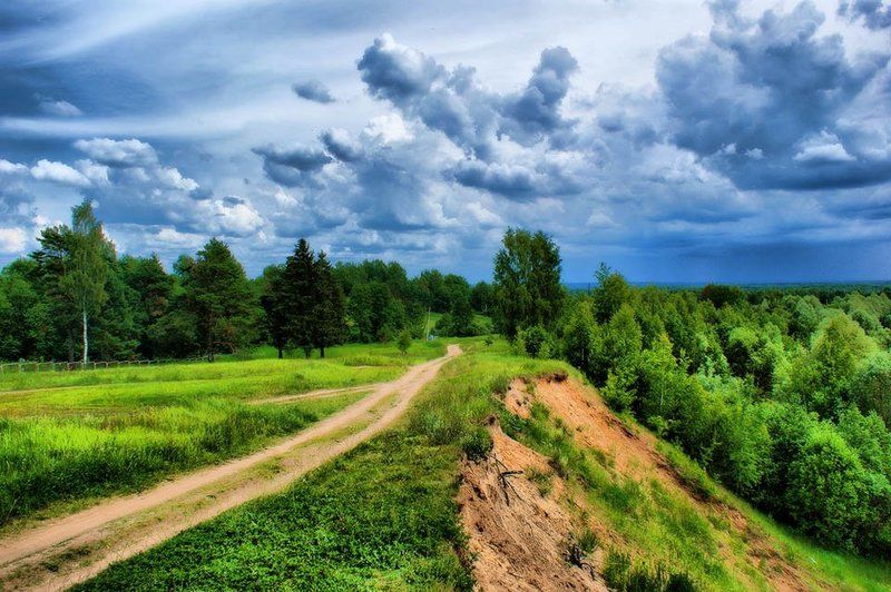 Дорога над лесомphoto preview