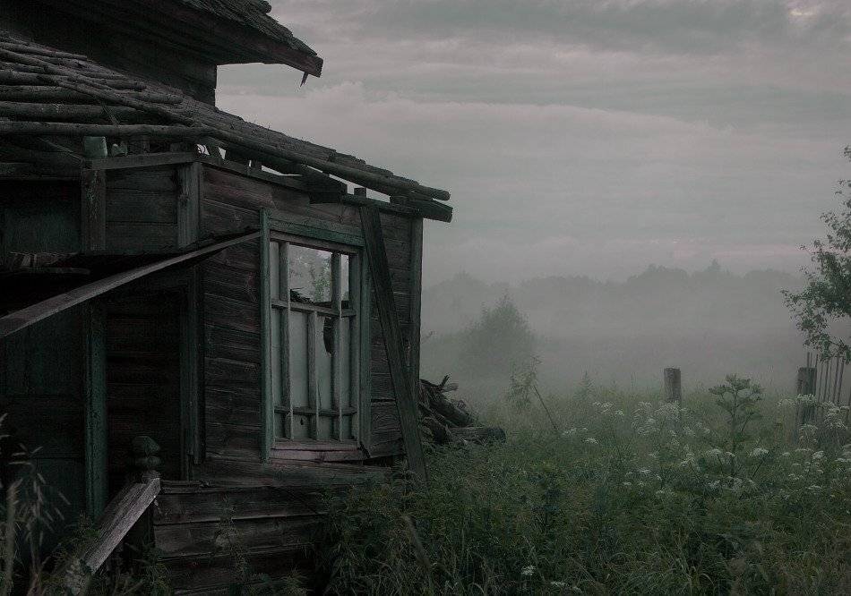 , Владимир Липецких