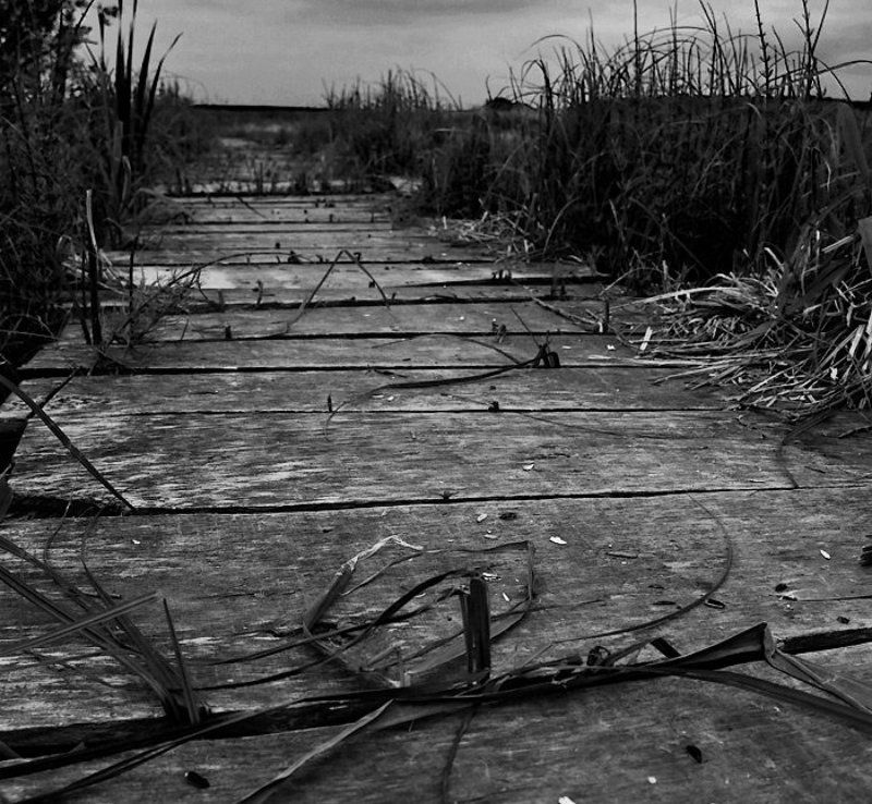 Дорога к водяномуphoto preview