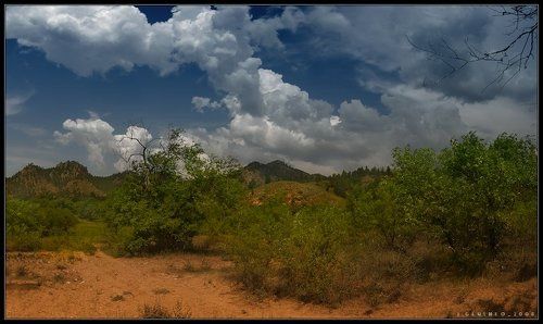 В разгаре лета