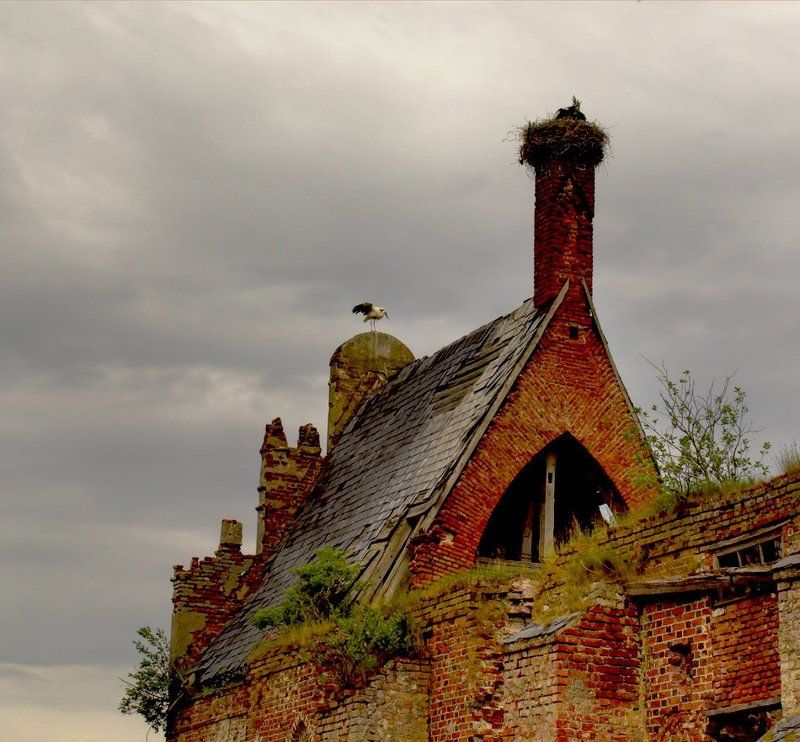 Про аистовphoto preview