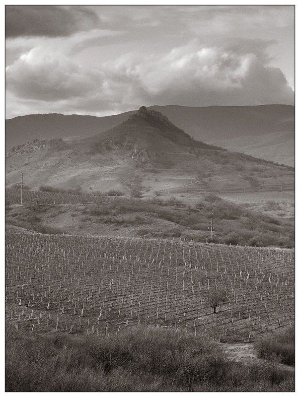 крым, весна, море, коктебель, черное море photo preview