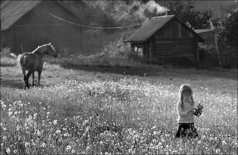 Летняя чб картинка с конем, девочкой и банейphoto preview