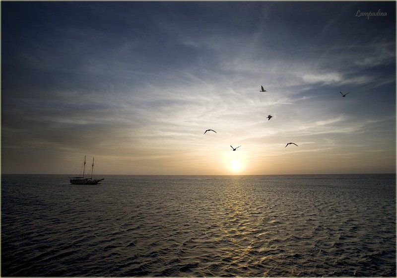 красное море, судан, закат, яхта, чайки Закатно-суданскаяphoto preview