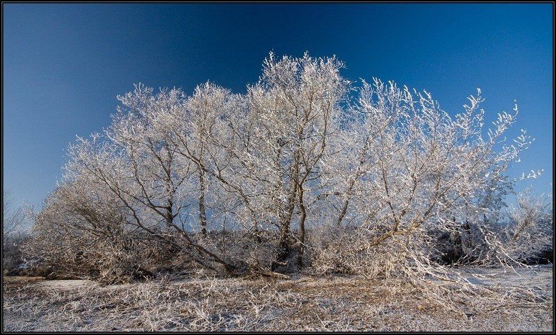 зима, иней, небо, i_go Немного зимы...photo preview