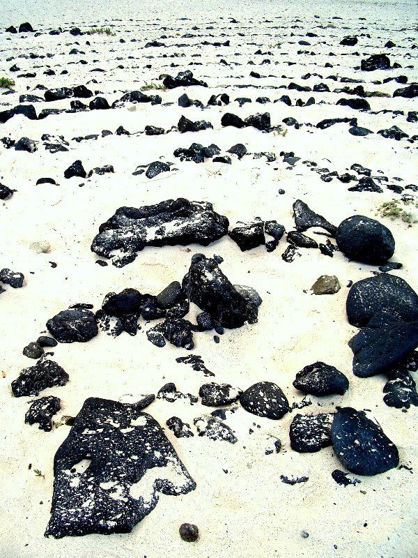 спираль The Spiral World.photo preview