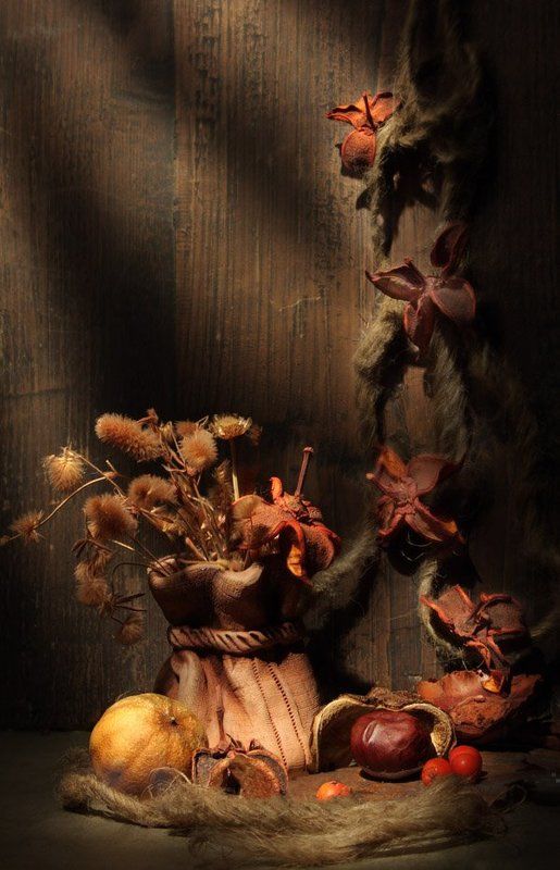 О покое и движенииphoto preview