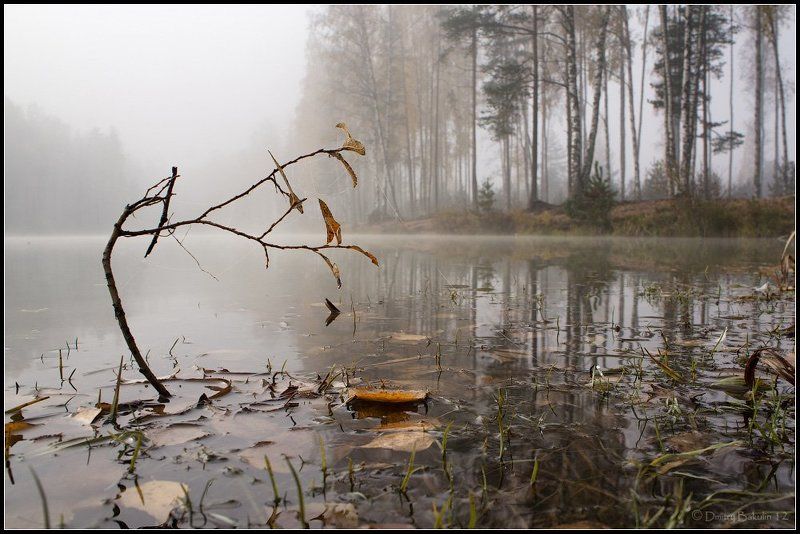 Икебана по-русскиphoto preview