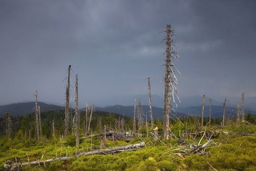 Gorce mountains
