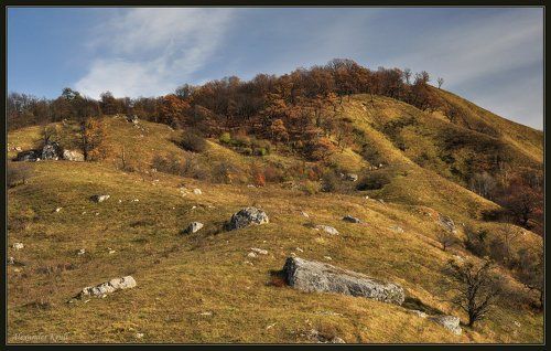 Осень в саду камней...