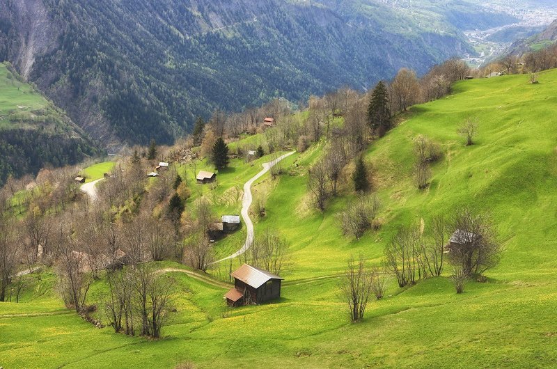 Альпыphoto preview