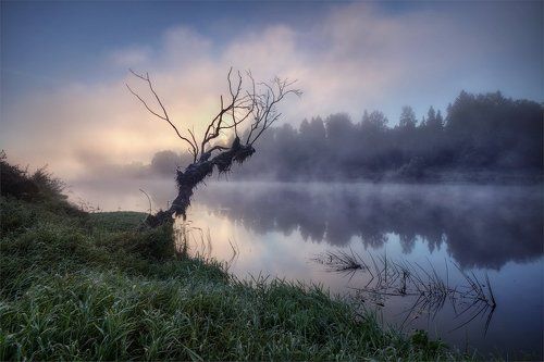 в небо