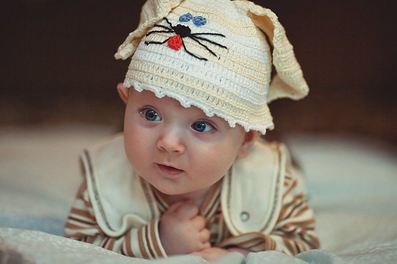 Тимошкаphoto preview