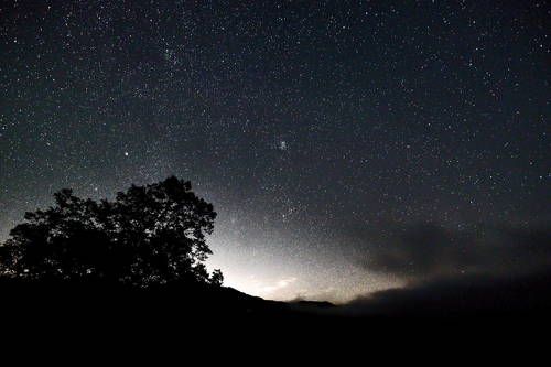 Starry night