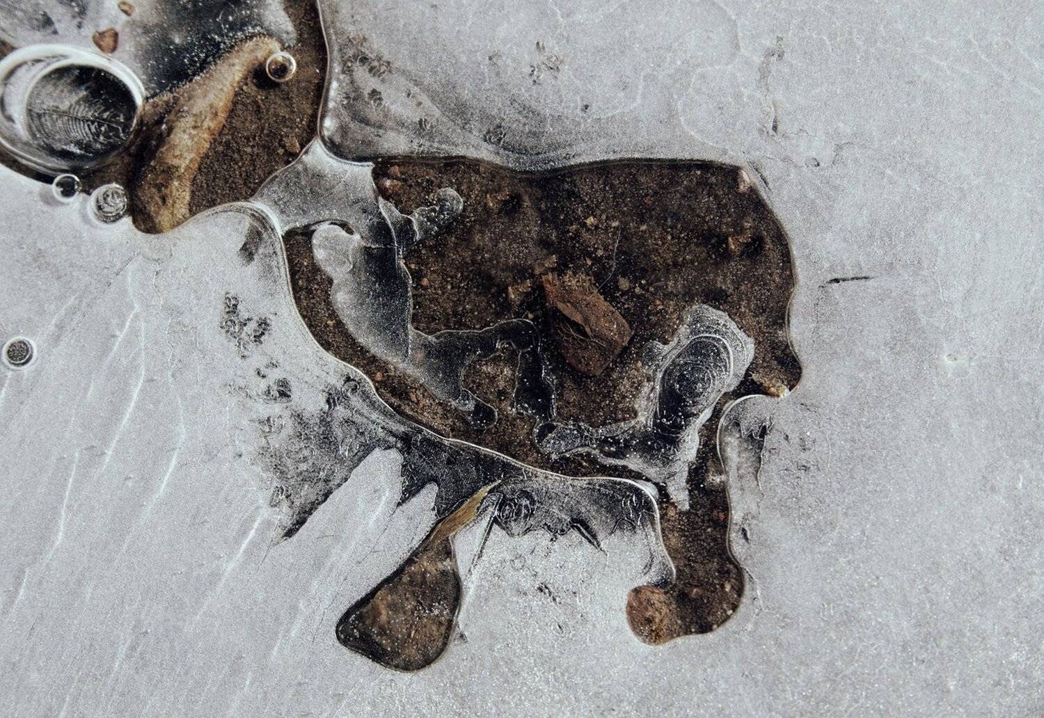 pareidolia, ПОЛУЕВ ИЛЬЯ