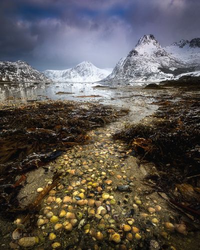 Sea shore road